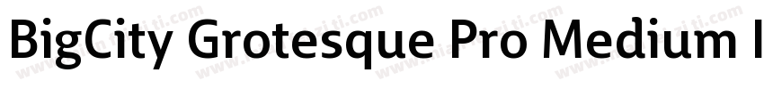 BigCity Grotesque Pro Medium Italic字体转换